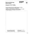 SCHNEIDER TV8.1 DOLBY Service Manual